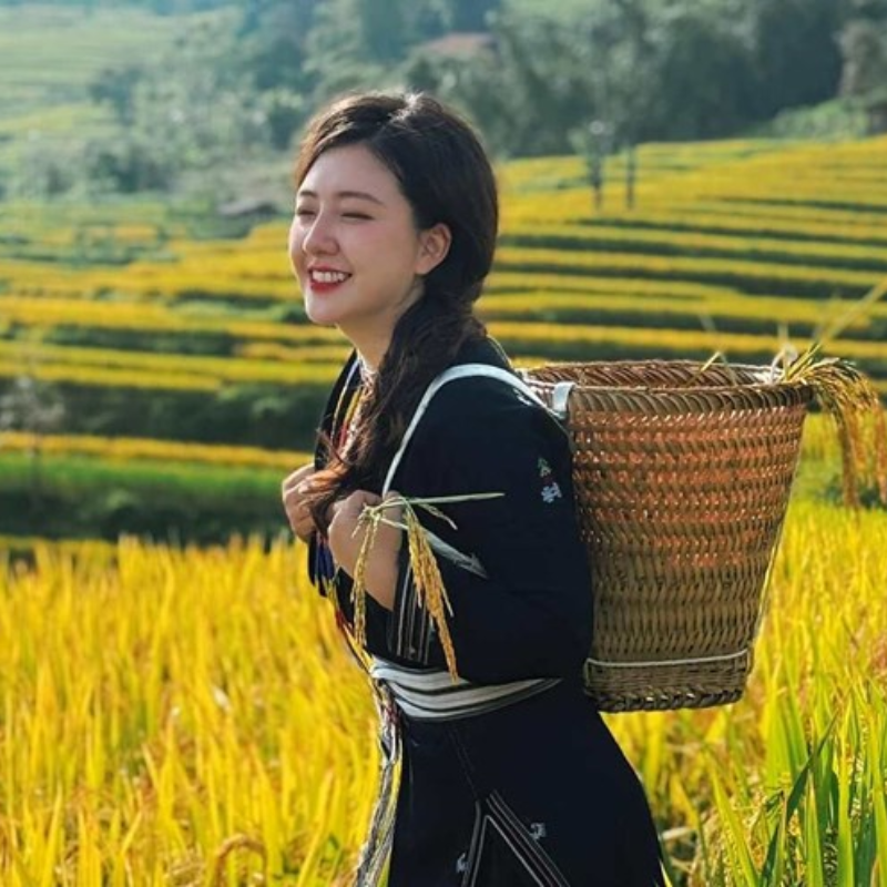 Các Chi Phí Khi Đi Đến Điểm Tham Quan Ruộng bậc thang Hồng Thái

