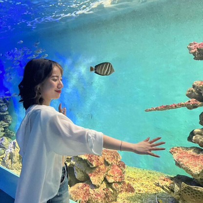 Các Chi Phí Khi Đi Đến Điểm Tham Quan Viện Hải Dương Học Nha Trang
