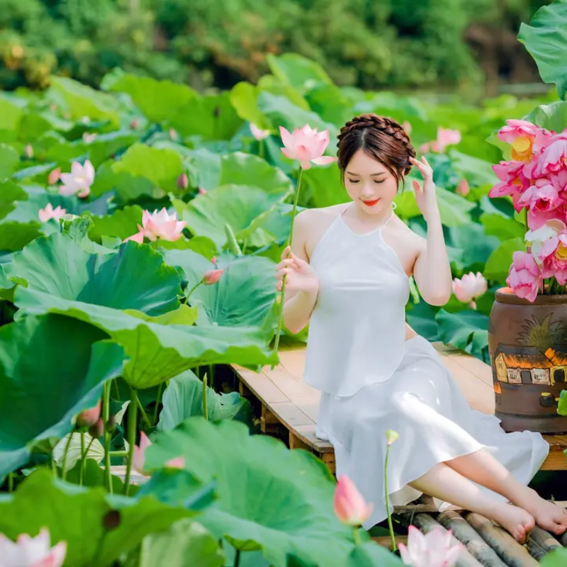 Các Chi Phí Khi Đi Đến Điểm Tham Quan Đầm Sen Xuân Đỉnh