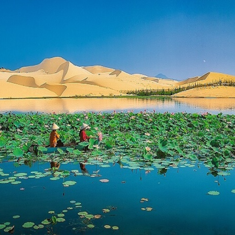 Các Chi Phí Khi Đi Đến Điểm Tham Quan Bàu Sen Mũi Né
