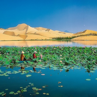 Các Chi Phí Khi Đi Đến Điểm Tham Quan Bàu Sen Mũi Né
