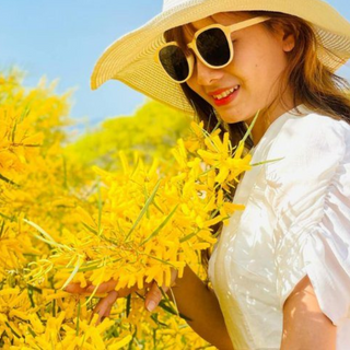 Các Chi Phí Khi Đi Đến Điểm Tham Quan Rừng Hoa Keo Lá Tràm Phan Thiết
