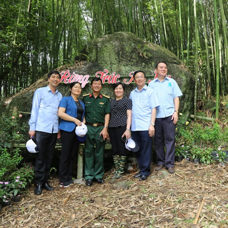Các Chi Phí Khi Đi Đến Điểm Tham Quan Rừng Trúc Pù Lầu