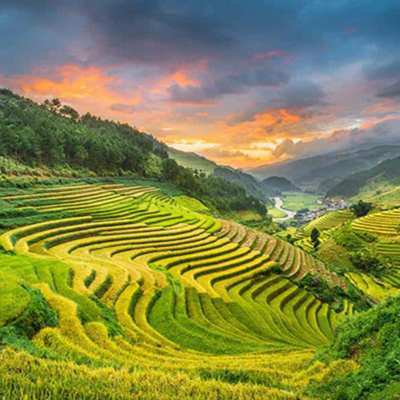 Các Địa Điểm Nổi Tiếng Gần Cao nguyên Sìn Hồ (Ăn Gì? Chơi Gì?)