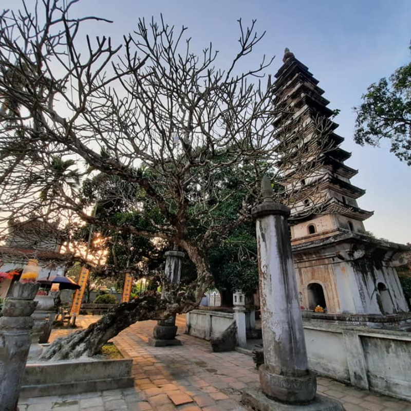 Các Địa Điểm Nổi Tiếng Gần Tháp Phổ Minh (Ăn Gì? Chơi Gì?)
