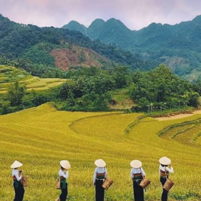 Các Địa Điểm Nổi Tiếng Gần Thung Lũng Mai Châu (Ăn Gì? Chơi Gì?)
