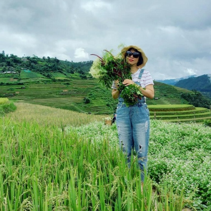Các Địa Điểm Nổi Tiếng Gần Cánh Đồng Mường Lò (Chơi Gì? Ăn Gì?)
