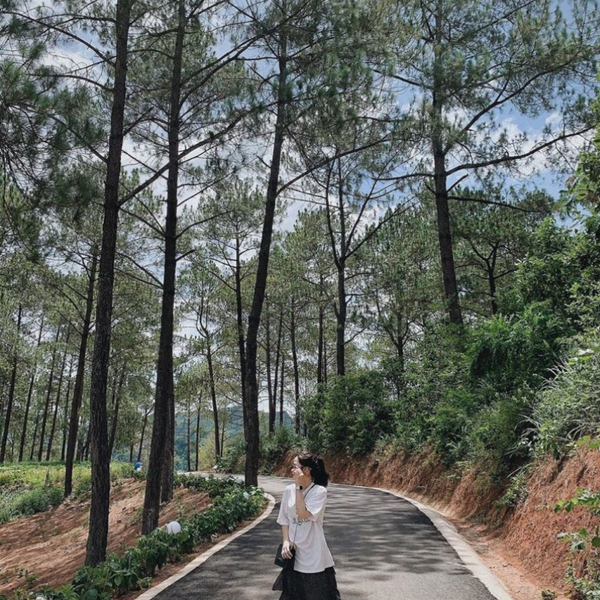 Các Địa Điểm Nổi Tiếng Gần Rừng Thông Bản Áng (Ăn Gì? Chơi Gì?)