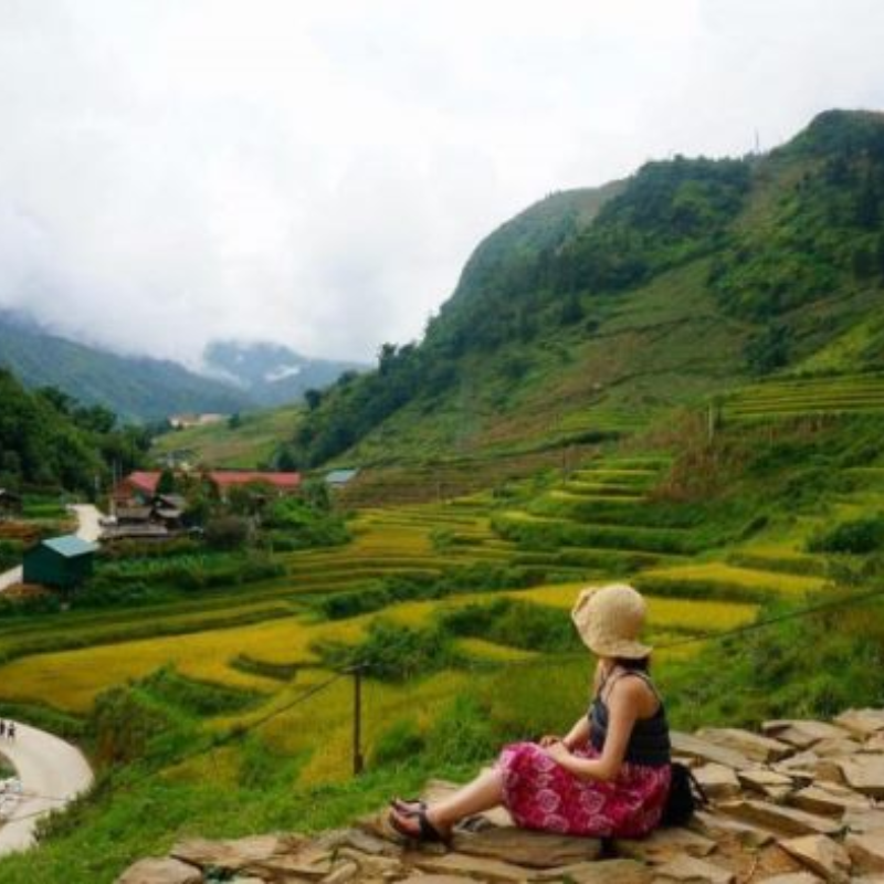 Các Địa Điểm Nổi Tiếng Gần Thung Lũng Mường Hoa (Ăn Gì? Chơi Gì?)
