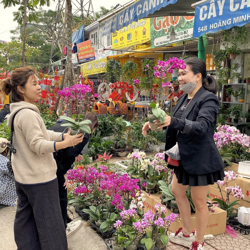 Các Địa Điểm Nổi Tiếng Gần Chợ Hàng (Ăn Gì? Chơi Gì?)

