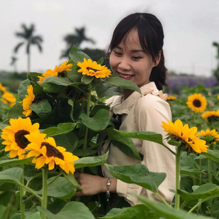 Các Địa Điểm Nổi Tiếng Gần Làng Hoa Tây Tựu (Ăn Gì? Chơi Gì?)
