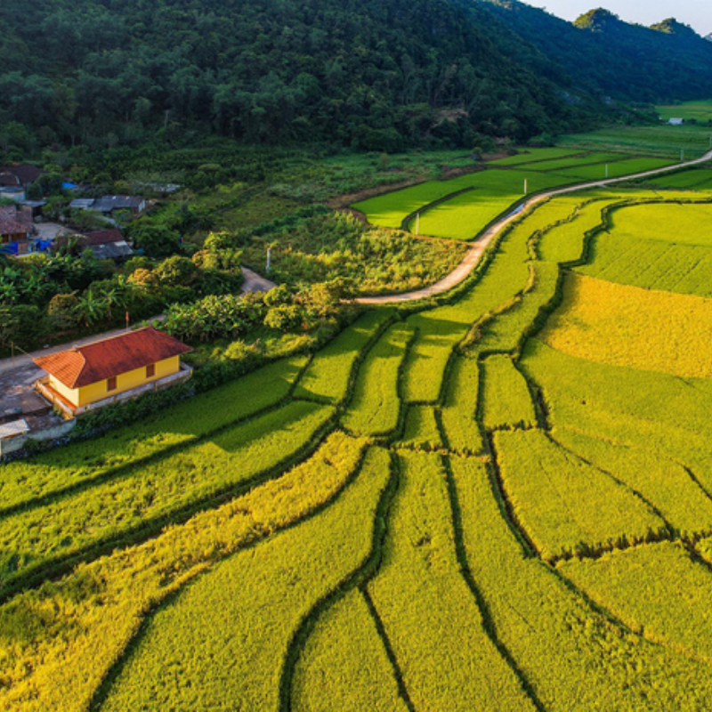 Các Địa Điểm Tham Quan Nổi Tiếng Gần Ải Chi Lăng (Ăn Gì? Chơi Gì?)

