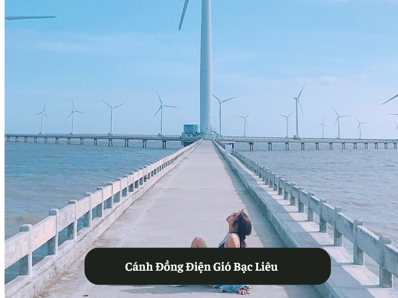 Cánh Đồng Điện Gió Bạc Liêu