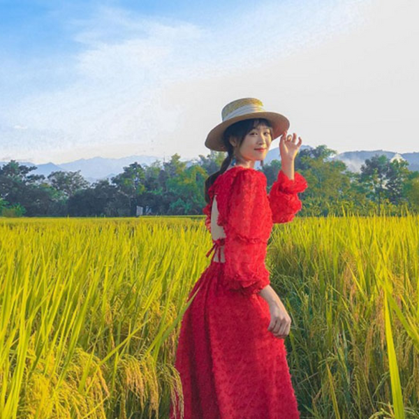 Cánh Đồng Mường Lò