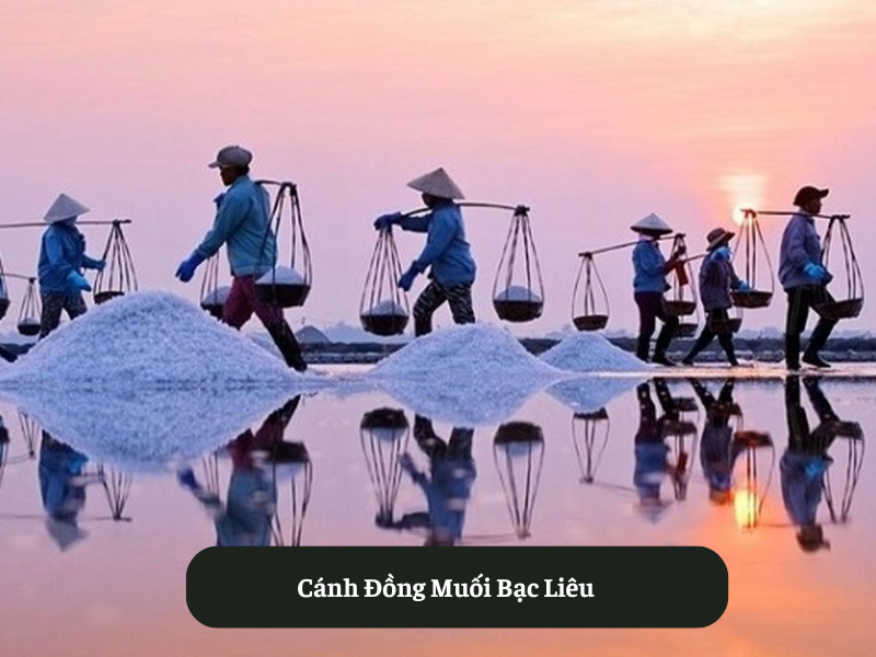 Cánh Đồng Muối Bạc Liêu