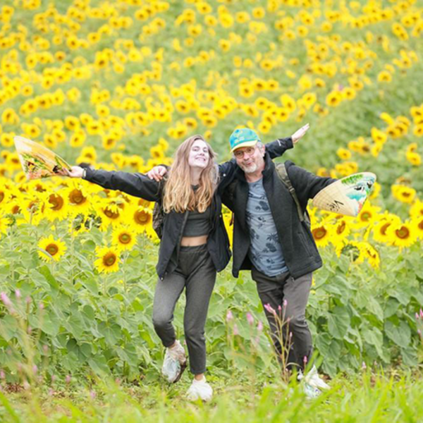 Cánh đồng hoa hướng dương Nghệ An