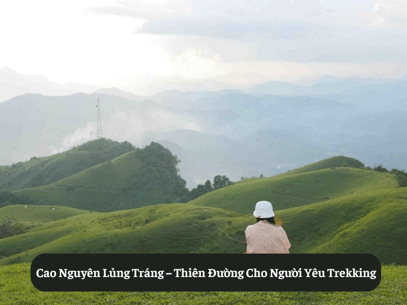 Cao Nguyên Lủng Tráng – Thiên Đường Cho Người Yêu Trekking
