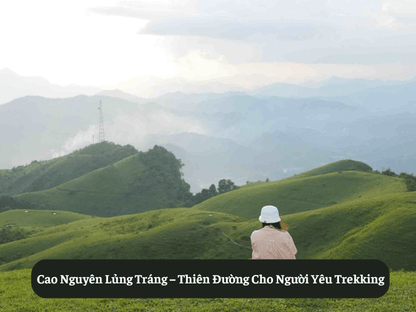 Cao Nguyên Lủng Tráng – Thiên Đường Cho Người Yêu Trekking
