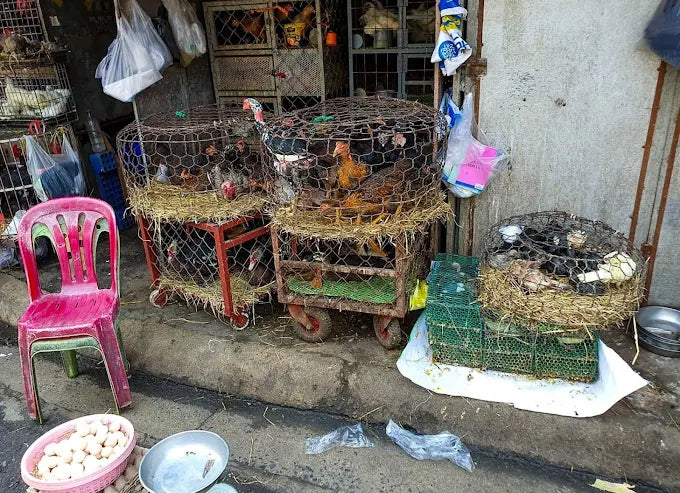 Thông Tin Cần Biết Cho Hành Trình Trải Nghiệm