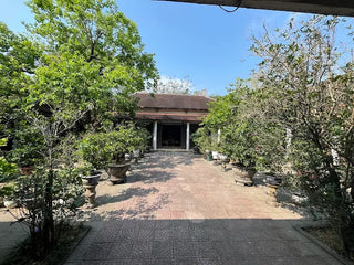 Bao Quoc Pagoda Hue