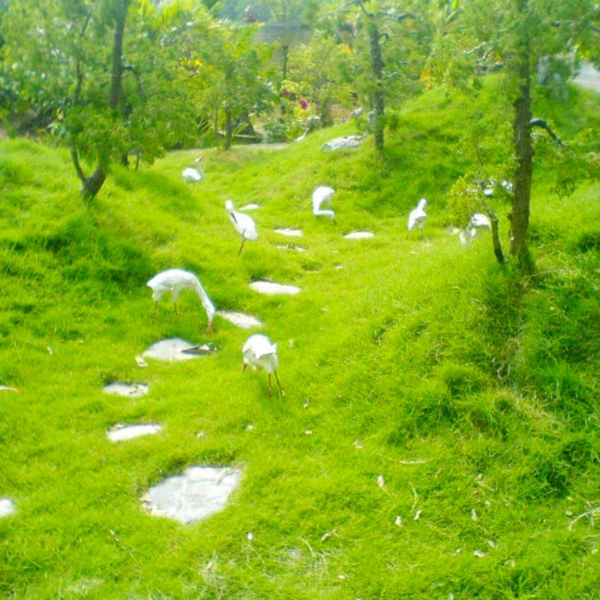 Vườn Quốc Gia Xuân Thủy