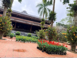 Diệu Đế Pagoda in Huế