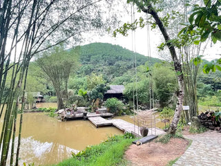 Bảng Giá Tham Khảo Các Dịch Vụ Tại Chùa (Cập nhật 2026)