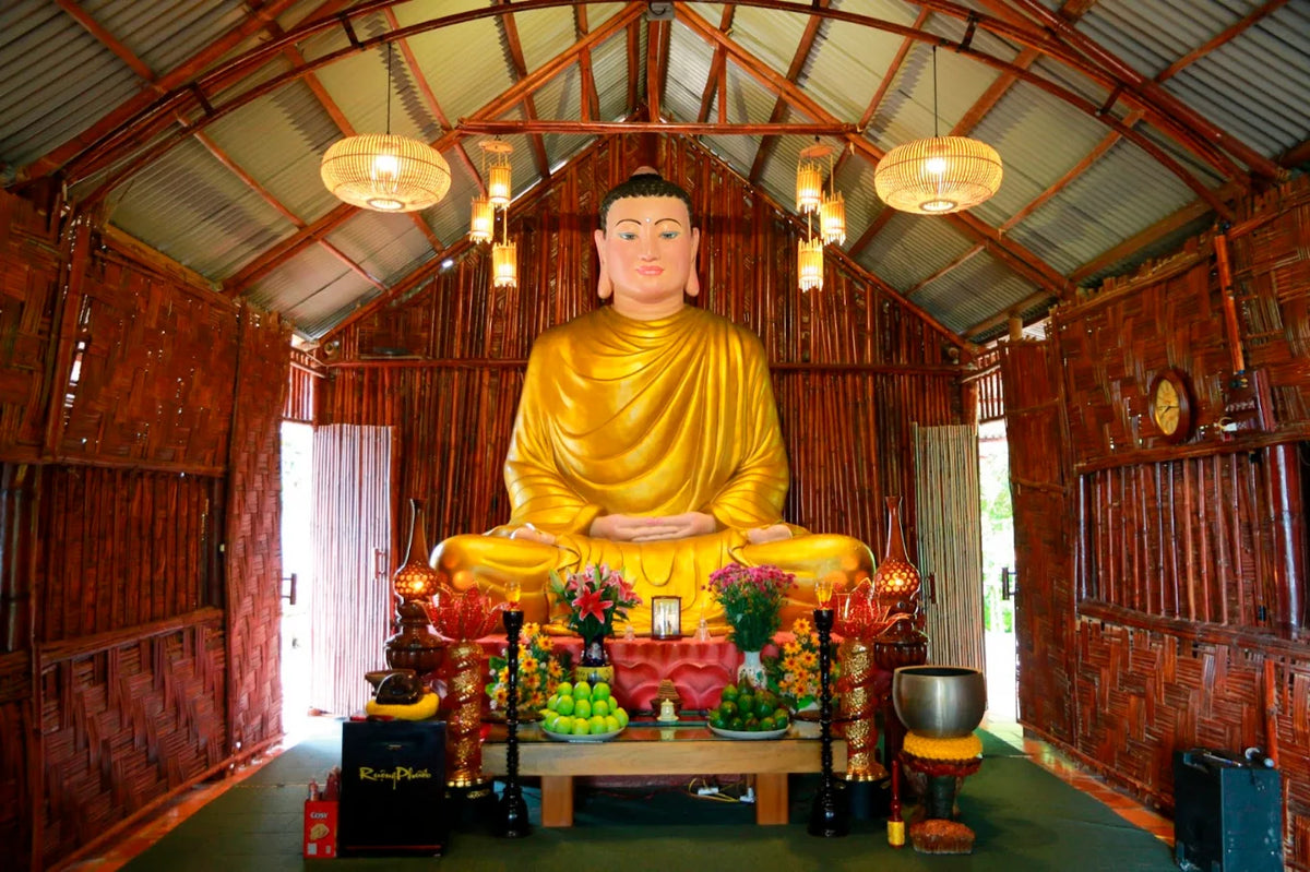 Làm thế nào để đặt dịch vụ xe đưa đón và tour trọn gói?