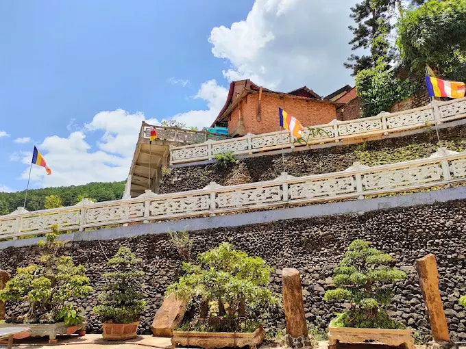 Bảng Giá Vé Và Dịch Vụ Hỗ Trợ Tham Quan Trọn Gói