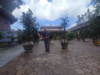 Tu Dam Pagoda Hue