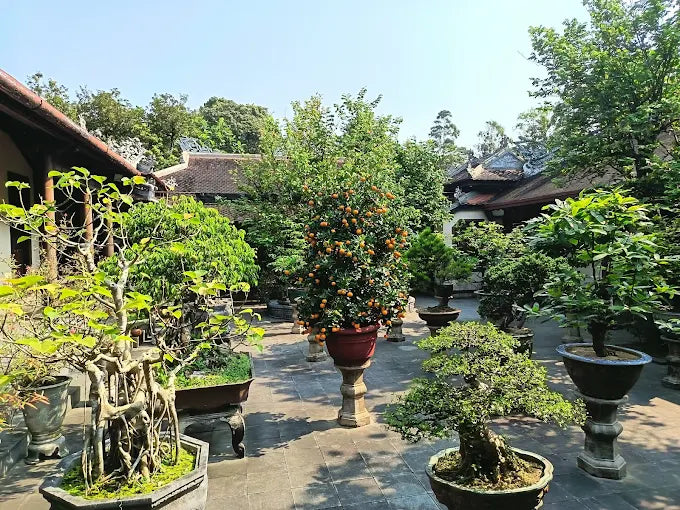 Chùa Từ Hiếu, Huế