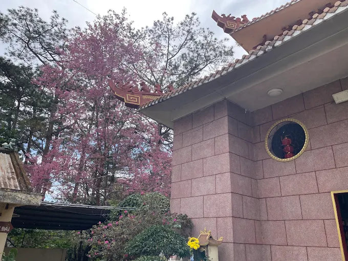 Chùa Tàu (Thiên Vương Cổ Sát) Đà Lạt