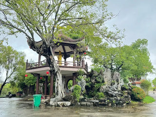 Phương Tiện Di Chuyển Chùa Thiên Hưng, Bình Định Cũ, Gia Lai Mới