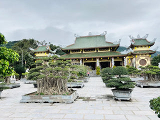 Linh Ung Pagoda Da Nang