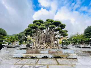 Linh Ung Pagoda Da Nang