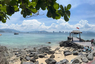Con Sẻ Tre Nha Trang