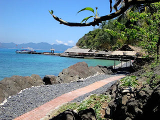 Con Sẻ Tre cách trung tâm Nha Trang bao xa?
