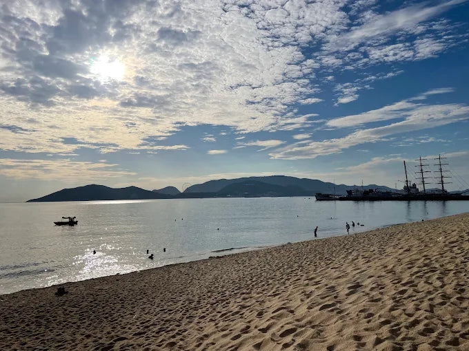 Thông Tin Hành Trình Thực Tế Tại Công Viên Bạch Đằng