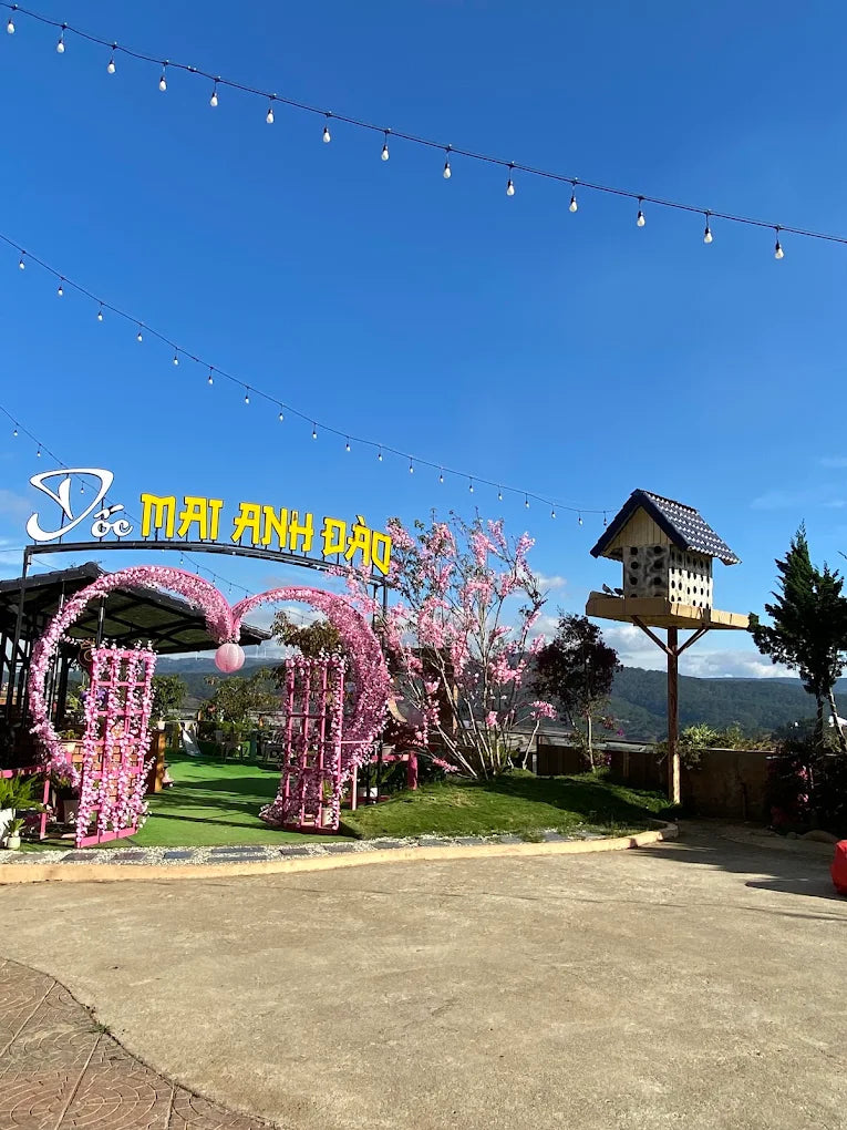 Những Trải Nghiệm Độc Đáo Và Sắc Hồng Triệu View