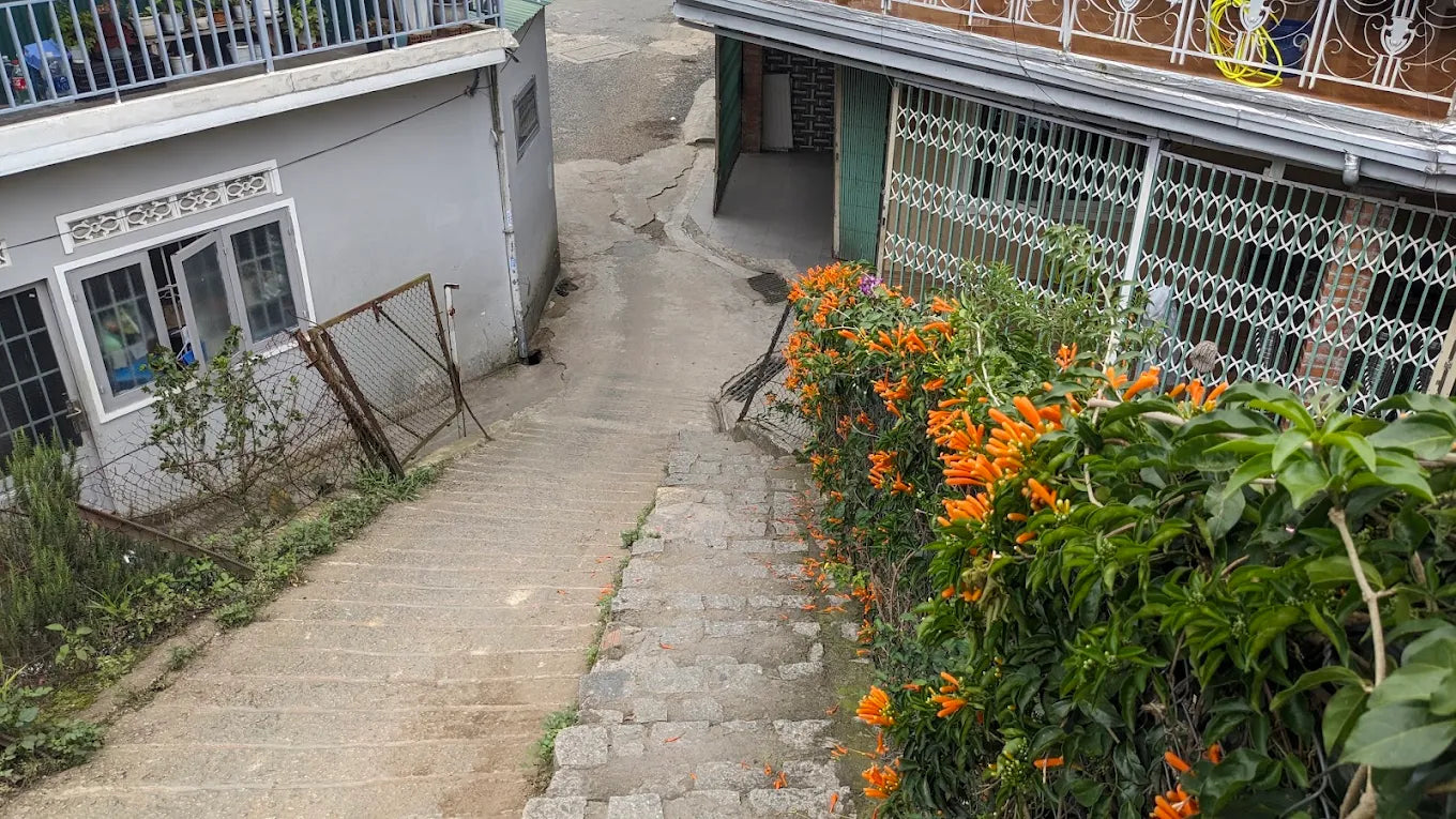 Thời điểm nào trong ngày thích hợp nhất để chụp ảnh tại đây?