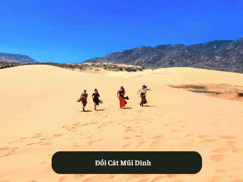 Đồi Cát Mũi Dinh