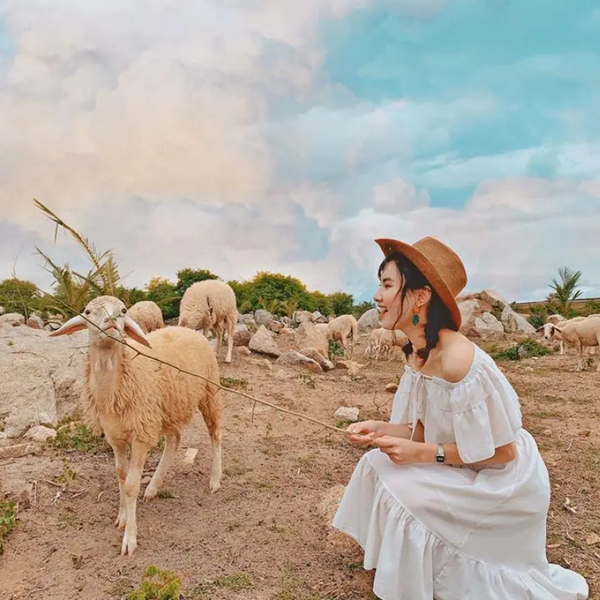 Đồng Cừu An Hòa