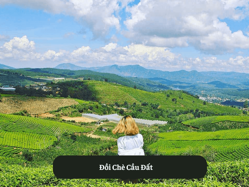 Đồi Chè Cầu Đất