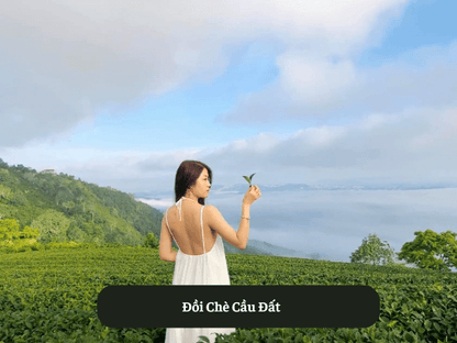 Đồi Chè Cầu Đất