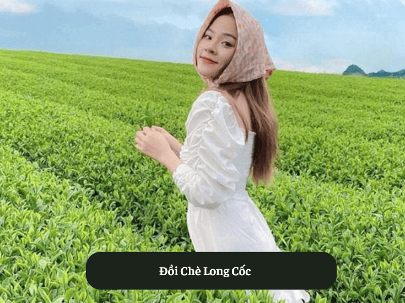 Đồi Chè Long Cốc