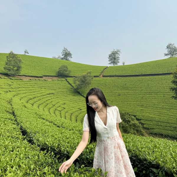 Đồi Chè Long Cốc