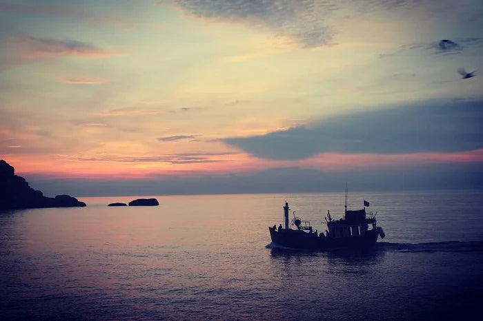 Tại Sao Nên Tin Tưởng Lựa Chọn Nền Tảng Localtrips.ORG?
