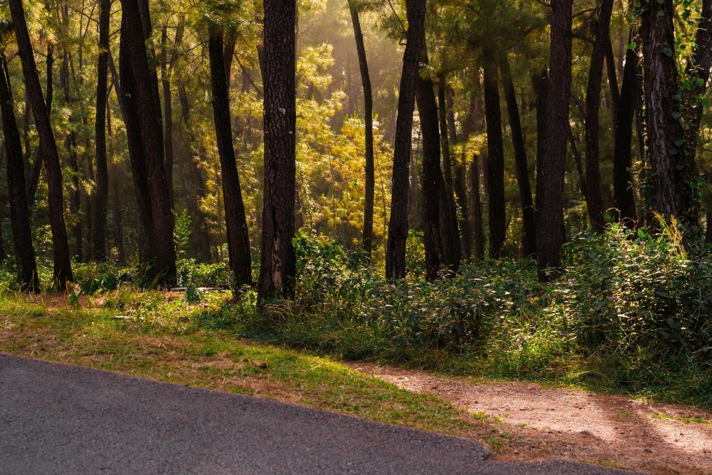 Kết Nối Hành Trình: Đồi Thiên An Huế với các địa điểm nổi tiếng