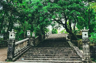 Những Trải Nghiệm Không Thể Bỏ Lỡ Tại Đồi Thiên An