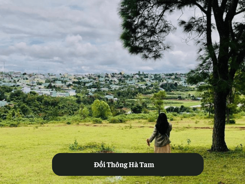 Đồi Thông Hà Tam